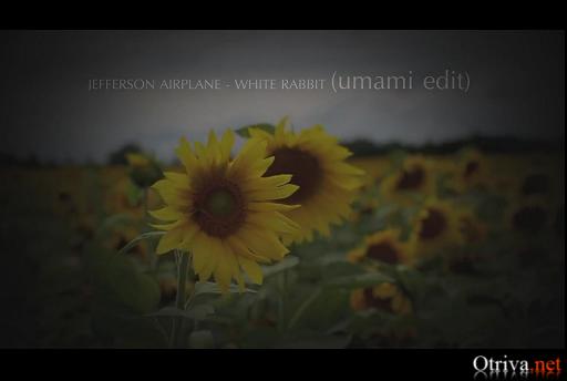 Jefferson Airplane - White Rabbit (Umami Edit)
