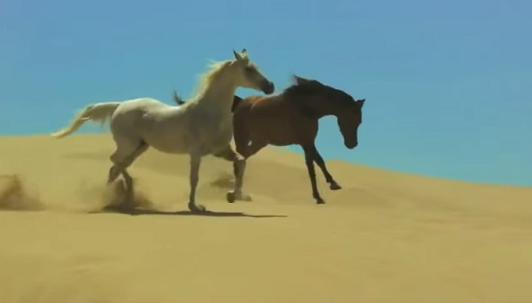 PPK - Whitemane Horsey (Guard Intro Remix)